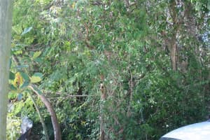 815 Madrid Rd Key Largo, FL 33037 Sold 08/07/25