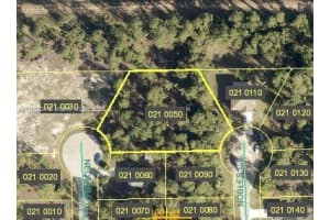 103 Nectar Ct Lehigh Acres, FL 33974 - MLS#A11765804