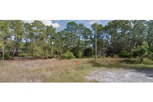 103 Nectar Ct Lehigh Acres, FL 33974 - MLS#A11765804