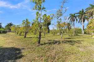16950 SW 188th St, Miami, FL 33187, - MLS#A11766699