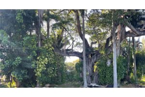 4681 Sw 33rd Ave Dania Beach, FL 33312 - MLS#A11767073