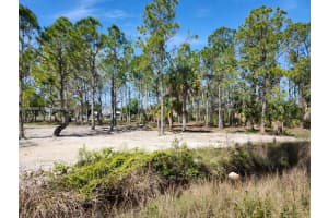 29426 Marris Dr Punta Gorda, FL 33982 Sold 04/04/25