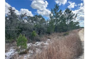 123 Dartmoor Ave Lake Placid, FL 33852 - MLS#A11768985