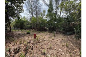 30xx Forest Hills Dr Coral Springs, FL 33065 - MLS#A11769104