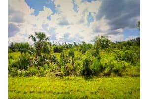 2296 Drennon Port Charlotte, FL 33953 - MLS#A11769285