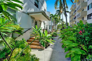 6911 Bay Dr 3, Miami Beach