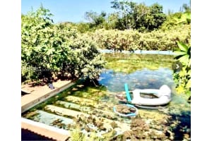 312 St, Homestead, FL 33033 - MLS#A11772977