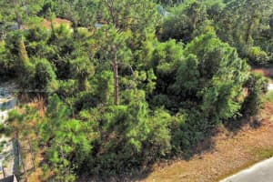 2500 E 9th St Lehigh Acres, FL 33936 - MLS#A11774832