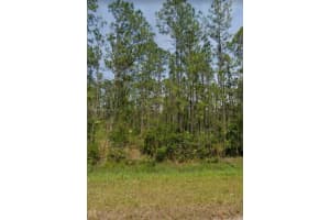 6420 Sw Balboa Blvd. Sebring, FL 33872 - MLS#A11777065