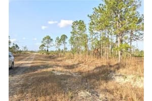 414 Abbott Lehigh Acres, FL 33972 - MLS#A11777952