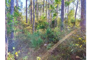 5 Seoane Pl Palm Coast, FL 32164 Sold 07/21/25