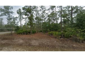 1301 James Avenue Lehigh Acres, FL 33972 - MLS#A11781425