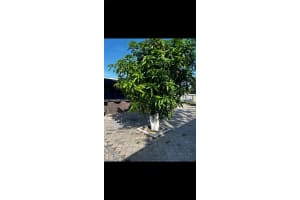 MLS# A11782154, Lauderhill, Florida 33313