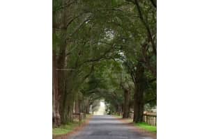 MLS# A11785431, Ocala, Florida 34491