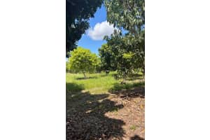 20851 Sw 320 St Miami, FL 33030 - MLS#A11786670