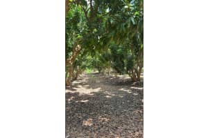 20851 Sw 320 St Miami, FL 33030 - MLS#A11786670