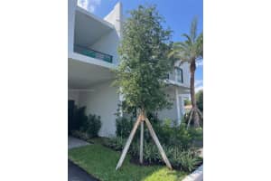 2511 Pierce St #6, Hollywood, FL 33020, - MLS#A11787709