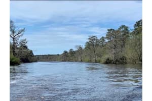 15810 Ne County Road 120 Other, FL 32334 - MLS#A11798540