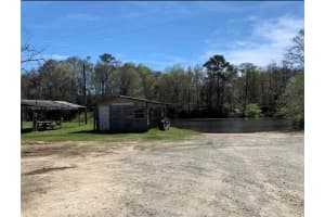 15810 Ne County Road 120 Other, FL 32334 - MLS#A11798540