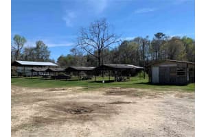15810 Ne County Road 120 Other, FL 32334 - MLS#A11798540