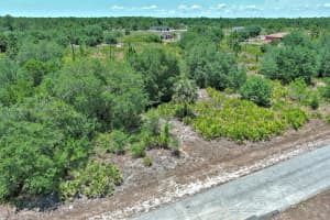 603 FITCH AVE, Lehigh Acres, FL 33972 - MLS#A11802458