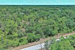 1908 MCARTHUR AVE, Lehigh Acres, FL 33972 - MLS#A11802599