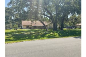 1725 Tanglewood Dr, Kissimmee, FL 34746, - MLS#A11802930