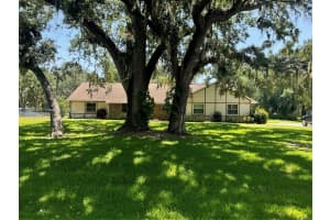 1725 Tanglewood Dr, Kissimmee, FL 34746, - MLS#A11802930