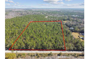 000 Old Haw Creek Rd Other, FL 32110 - MLS#A11803195