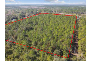 000 Old Haw Creek Rd Other, FL 32110 - MLS#A11803195