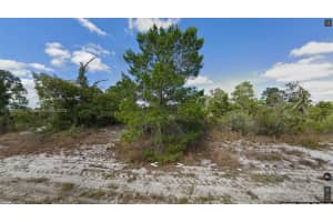 341 Ne Galapagos Ave Lake Placid, FL 33852 - MLS#A11803417
