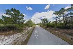 341 Ne Galapagos Ave Lake Placid, FL 33852 - MLS#A11803417