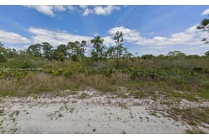 217 Warrior St, Lake Placid, FL 33852 - MLS#A11804374