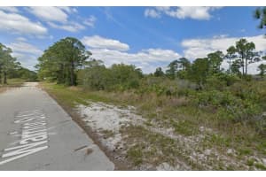 217 Warrior St, Lake Placid, FL 33852 - MLS#A11804374