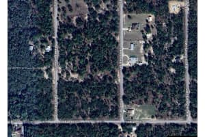 0 Sw Lemon Hill Dr Dunnellon, FL 34431 - MLS#A11807121