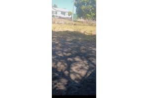 919 Virginia Other, FL 33440 Sold 06/16/25