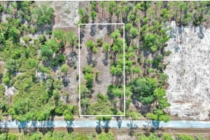 317 Fitch Ave Lehigh Acres, FL 33936 - MLS#A11807893