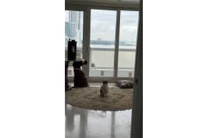 1717 N Bayshore Dr A1734, Miami, FL 33132, - MLS#A11809431