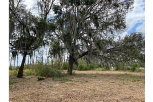 2916 Holiday Beach Dr Avon Park, FL 33825 - MLS#A11814067