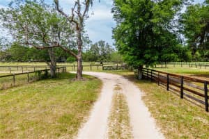 10631 W Hwy 40, Dunnellon, FL 34431, - MLS#A11815882