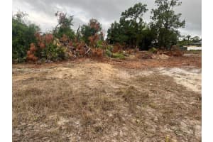 17 Rosevelt Ave Lehigh Acres, FL 33936 - MLS#A11816318