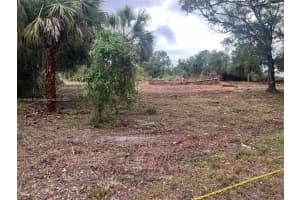 17 Rosevelt Ave Lehigh Acres, FL 33936 - MLS#A11816318