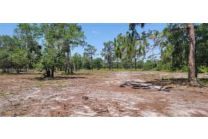 0 Rosalie Lake Rd Lake Wales, FL 33898 - MLS#A11816649