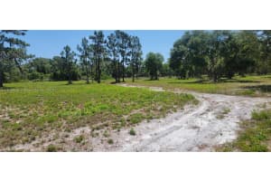 0 Rosalie Lake Rd Lake Wales, FL 33898 - MLS#A11816649