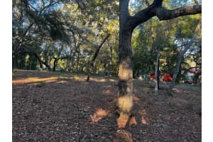 6360 Cascade Dr Other, FL 32656 Sold 08/14/25