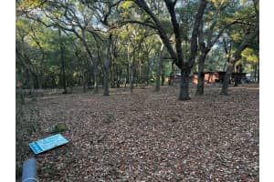 6360 Cascade Dr Other, FL 32656 Sold 08/14/25