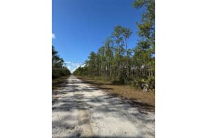 806 Belmonte Drive Lake Wales, FL 33855 Sold 08/11/25