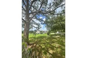 451 Bald Cypress Ave, Clewiston, FL 33440, - MLS#A11823790