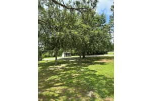 451 Bald Cypress Ave, Clewiston, FL 33440, - MLS#A11823790