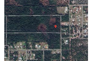 910 Iris Avenue Sebring, FL 33875 - MLS#A11824940